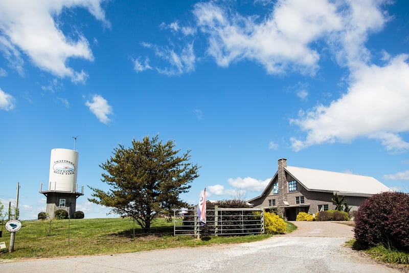 Rustic Barn Wedding